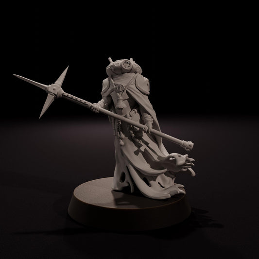 Oracle / Observer  - Wraith Pilgrims - Tabletop Miniatures ideal for Trench Crusade - High Quality Unpainted 3D Printed Minis